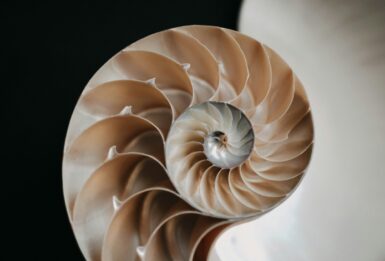 Do Dia do Pi à Proporção Áurea: como a matemática cria o design perfeito